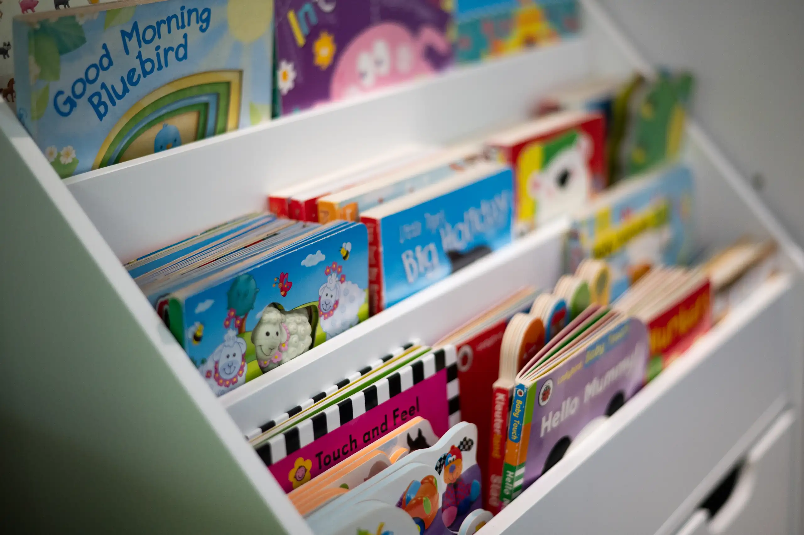A cabinet with books
