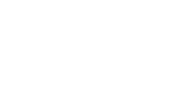 Playwhizz Full Logo